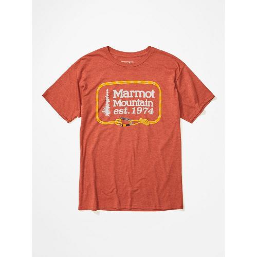 Marmot Clothes Multicolor NZ - Ascender T-Shirts Mens NZ9135208